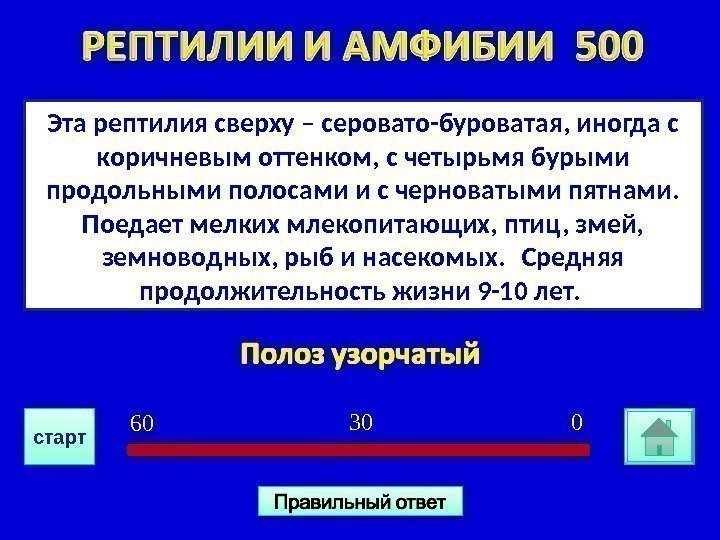 Эта рептилия сверху – серовато-буроватая, иногда с коричневым оттенком, с четырьмя бурыми продольными полосами