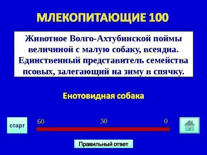 Животное Волго-Ахтубинской поймы величиной с малую собаку, всеядна.  Единственный представитель семейства псовых, залегающий