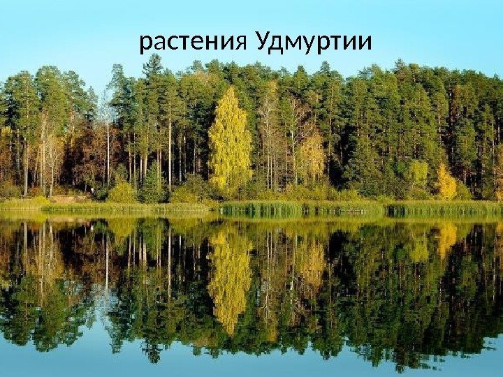 растения Удмуртии 