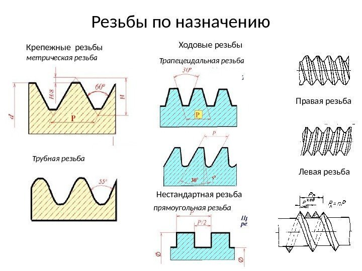 Резьбы по назначению Правая резьба Левая резьба. Крепежные резьбы метрическая резьба Трубная резьба Ходовые