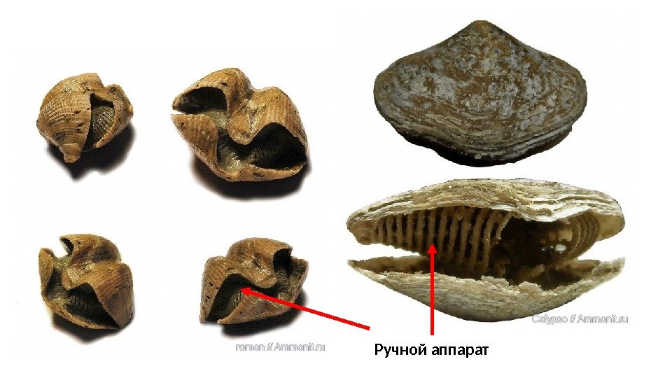 Ручной аппарат 