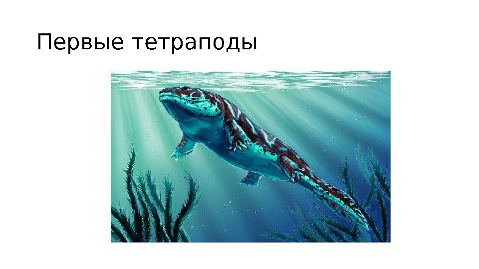 Первые тетраподы 