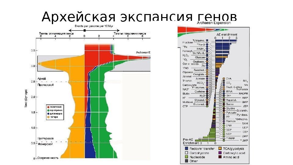 Архейская экспансия генов 