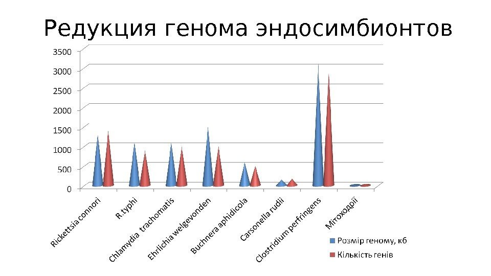 Редукция генома эндосимбионтов 