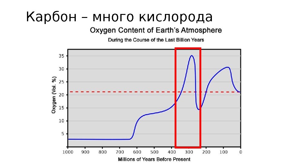 Карбон – много кислорода 