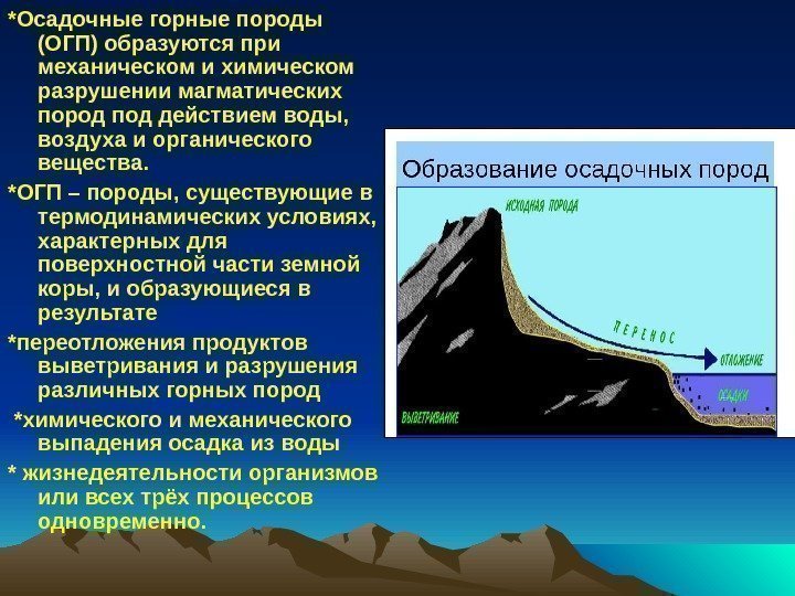   *Осадочные горные породы (ОГП) образуются при механическом и химическом разрушении магматических пород