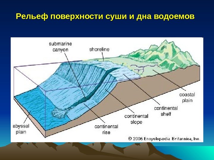   Рельеф поверхности суши и дна водоемов  