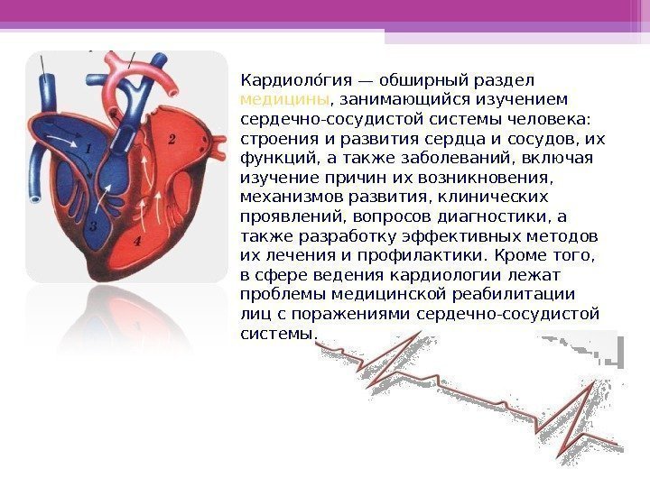 Кардиолоогия — обширный раздел медицины , занимающийся изучением сердечно-сосудистой системы человека:  строения и