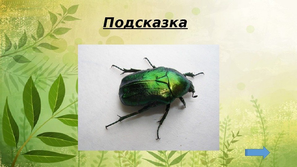 Подсказка 