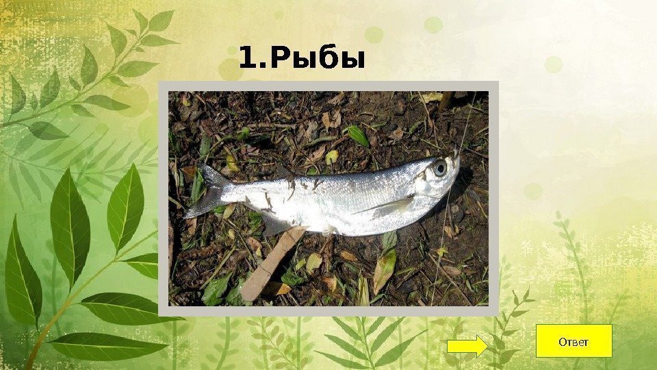 1. Рыбы Ответ 