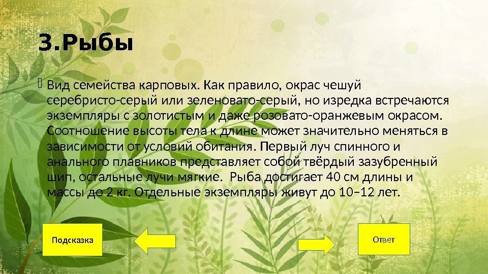 3. Рыбы Вид семейства карповых. Как правило, окрас чешуй серебристо-серый или зеленовато-серый, но изредка