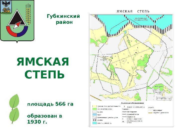 ЯМСКАЯ СТЕПЬ площадь 566 га Губкинский  район образован в 1930 г. 