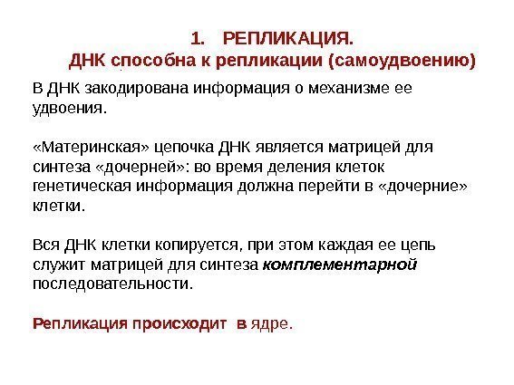 В ДНК закодирована информация о механизме ее удвоения.  «Материнская» цепочка ДНК является матрицей