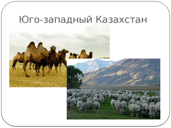 Юго-западный Казахстан 