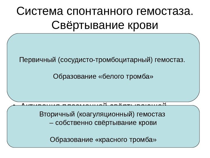 Система спонтанного гемостаза.  Свёртывание крови • Сосудистая реакция (вазоконстрикция) • Активация тромбоцитов –