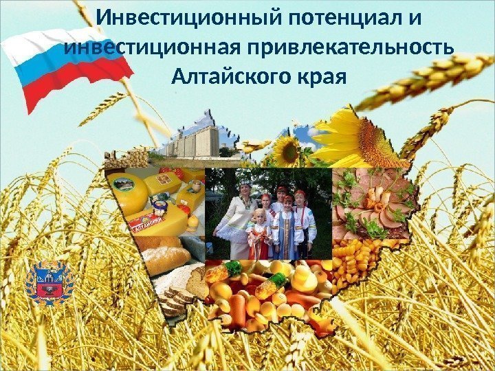 Инвестиционный потенциал и инвестиционная привлекательность Алтайского края 