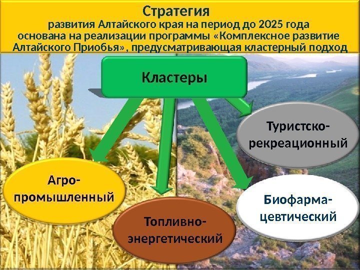 Стратегия  развития Алтайского края на период до 2025 года основана на реализации программы