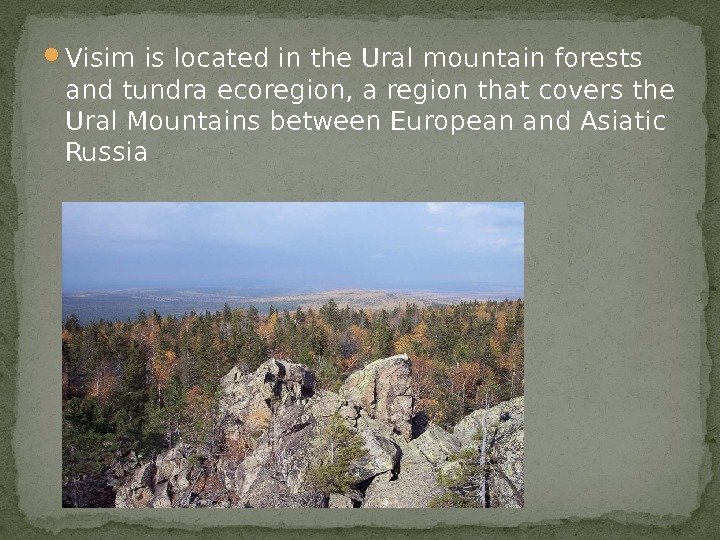  Visim is located in the Ural mountain forests and tundra ecoregion, a region