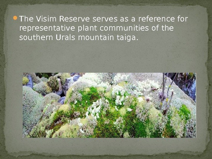 The Visim Reserves as a reference for representative plant communities of the southern
