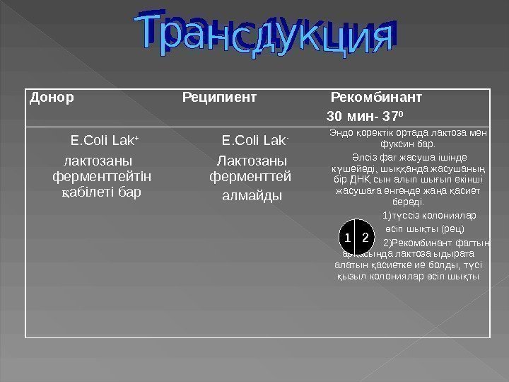  Донор  Реципиент  Рекомбинант 30 мин- 37 0  E. Coli Lak