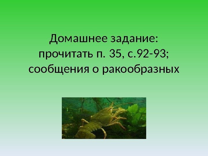 Домашнее задание: прочитать п. 35, с. 92 -93; сообщения о ракообразных 