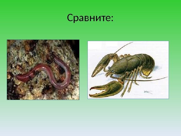 Сравните: 