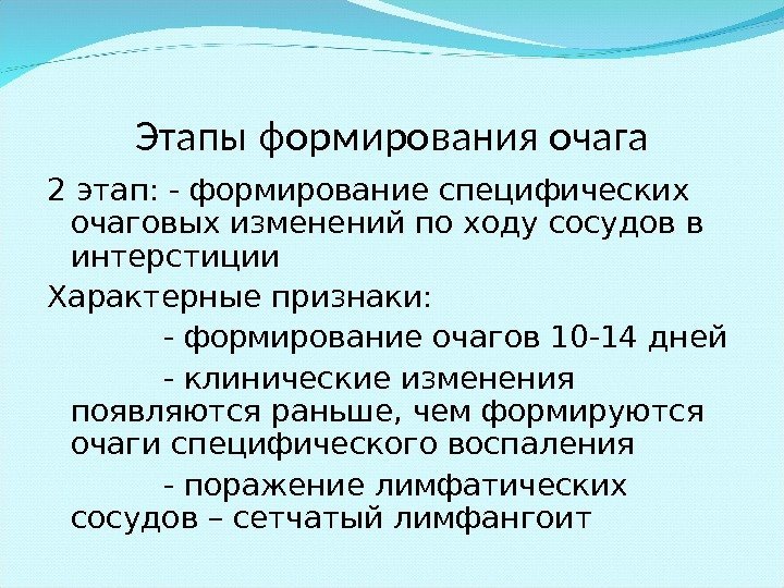 Этапы формирования очага 2 этап: - формирование специфических очаговых изменений по ходу сосудов в