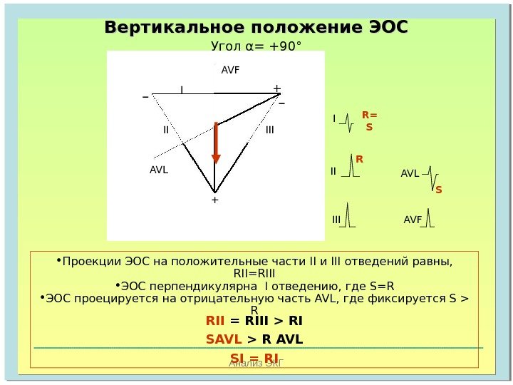   Анализ ЭКГВертикальное положение ЭОС  Угол α =  +90 ° 