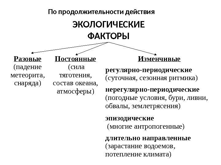 По продолжительности действия ЭКОЛОГИЧЕСКИЕ ФАКТОРЫ Разовые (падение метеорита,  снаряда) Постоянные  (сила тяготения,