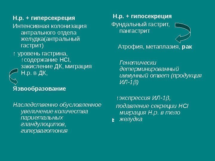 Н. р. + гиперсекреция Интенсивная колонизация антрального отдела желудка(антральный гастрит) ↑ уровень гастрина, 