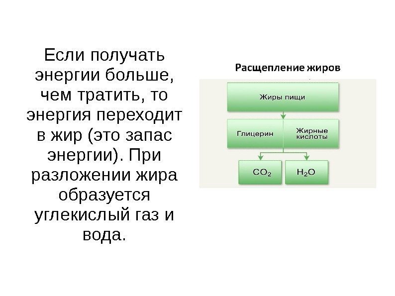 Если получать энергии больше,  чем тратить, то энергия переходит в жир (это запас