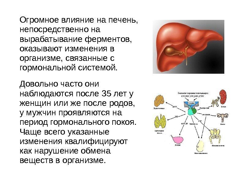 Огромное влияние на печень,  непосредственно на вырабатывание ферментов,  оказывают изменения в организме,