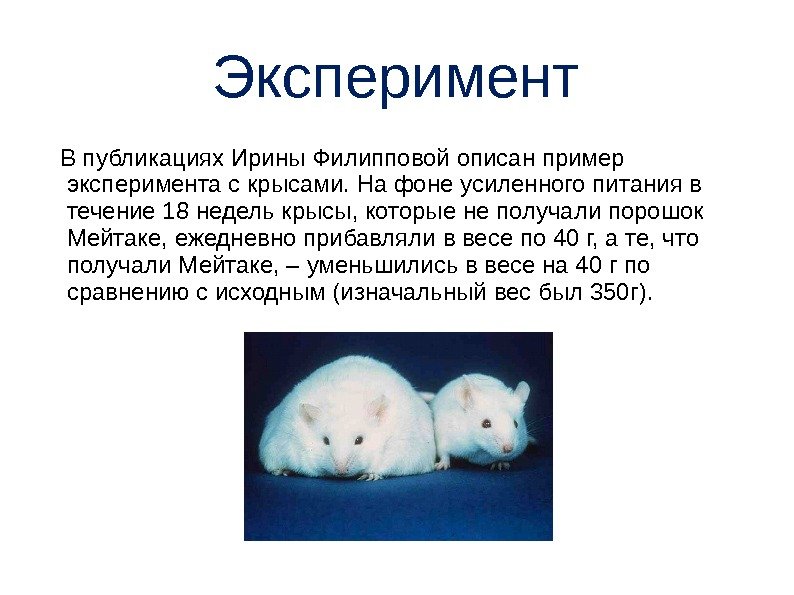 Эксперимент В публикациях Ирины Филипповой описан пример эксперимента с крысами. На фоне усиленного питания