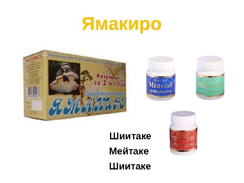 Ямакиро Т Тру. Тр Трутовик     Шиитаке    Мейтаке