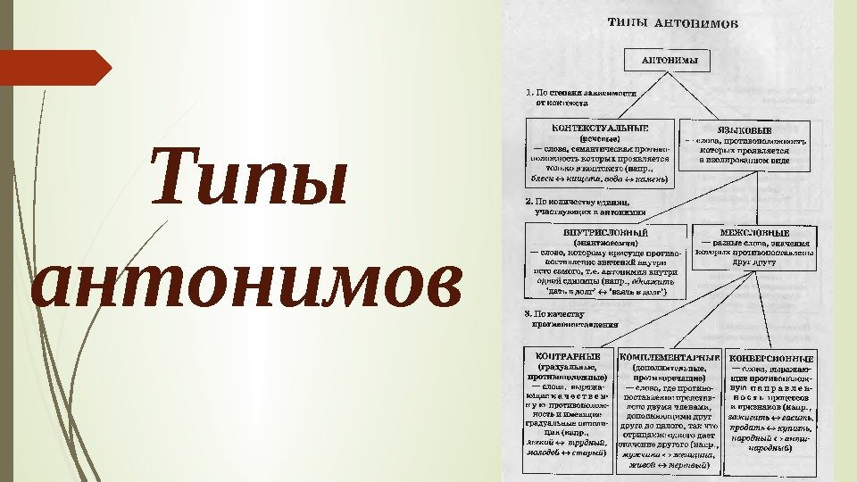 Типы антонимов   