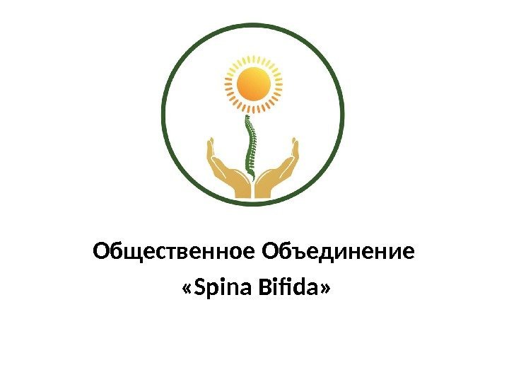 Общественное Объединение  «Spina Bifida» 