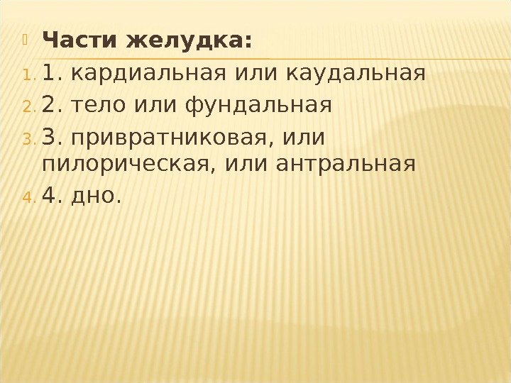  Части желудка: 1. 1. кардиальная или каудальная 2. 2. тело или фундальная 3.