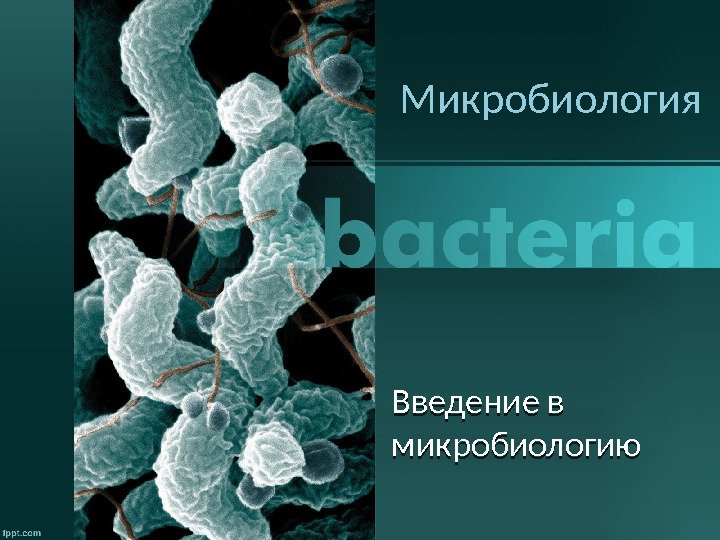 Микробиология Введение в микробиологию0 A 0 B 10 