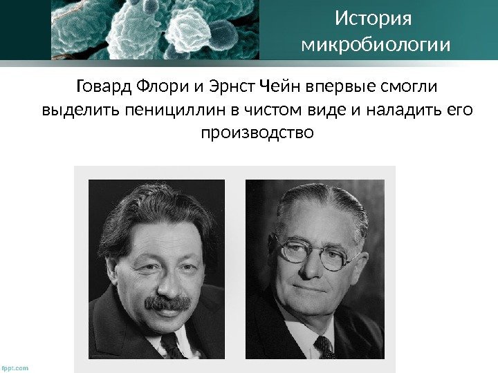 Говард Флори и Эрнст Чейн впервые смогли выделить пенициллин в чистом виде и наладить