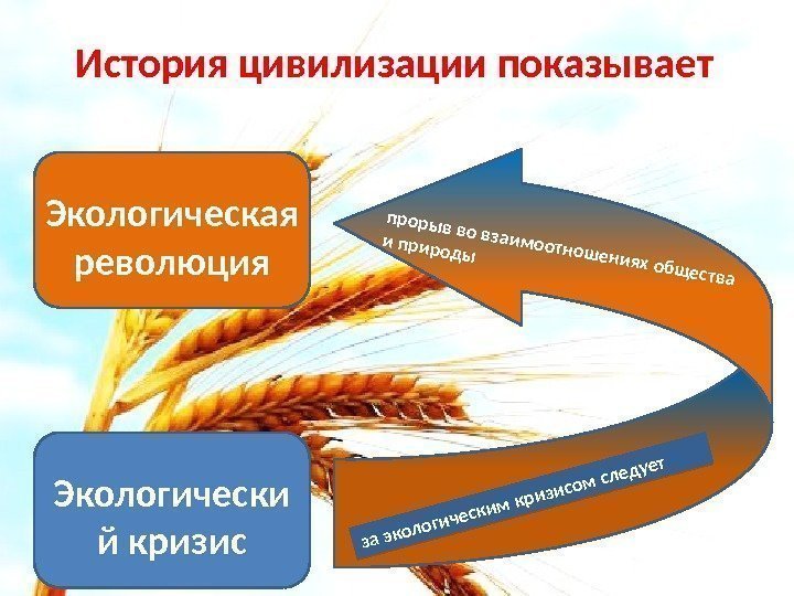 История цивилизации показывает Экологически й кризис. Экологическая революцияпрорыв во взаимоотношениях общества и природы за