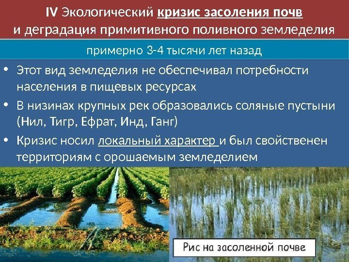  • Этот вид земледелия не обеспечивал потребности населения в пищевых ресурсах • В