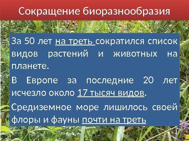 Сокращение биоразнообразия За 50 лет на треть сократился список видов растений и животных на