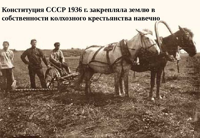 5 Конституция СССР 1936 г. закрепляла землю в собственности колхозного крестьянства навечно 