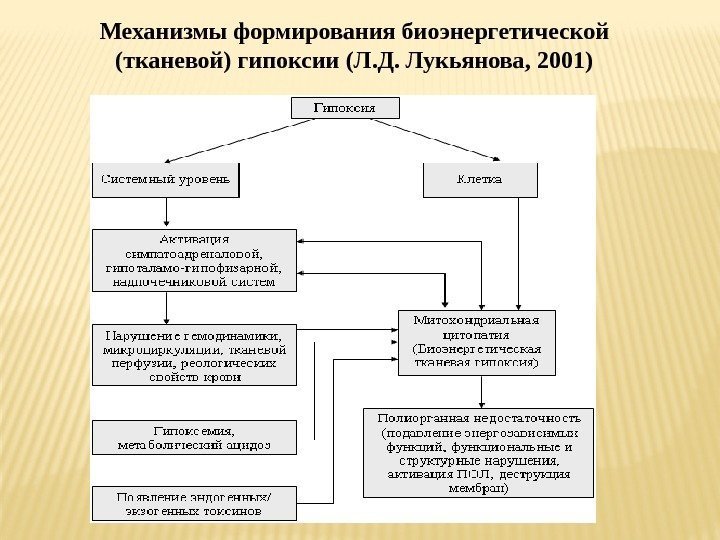 Механизмы формирования биоэнергетической (тканевой) гипоксии (Л. Д. Лукьянова, 2001) 
