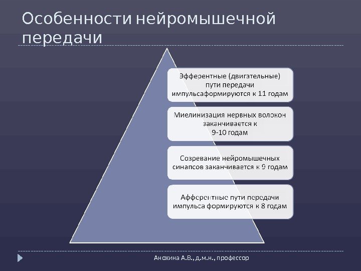   Особенности нейромышечной передачи Анохина А. В. , д. м. н. , профессор