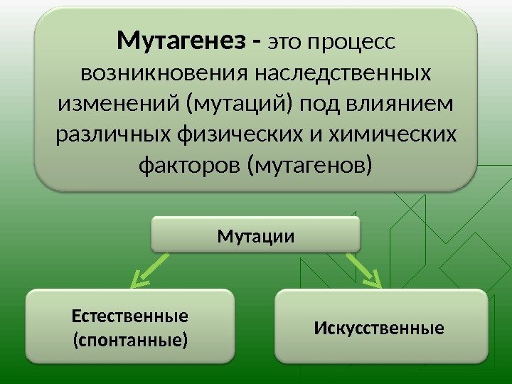 Мутагенез - это процесс возникновения наследственных изменений (мутаций) под влиянием различных физических и химических