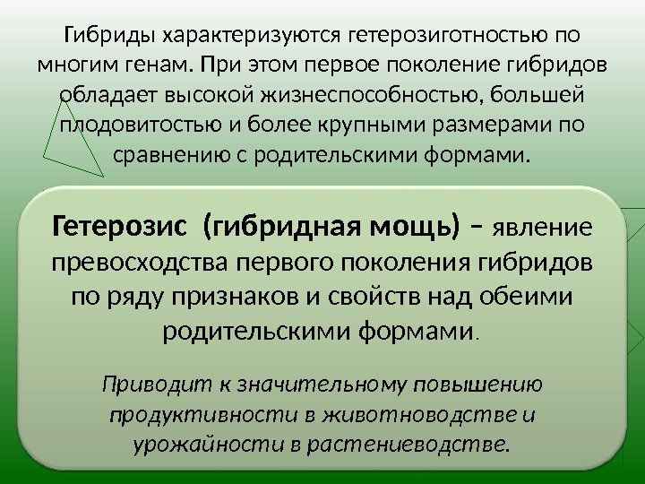 Гетерозис (гибридная мощь) – явление превосходства первого поколения гибридов по ряду признаков и свойств