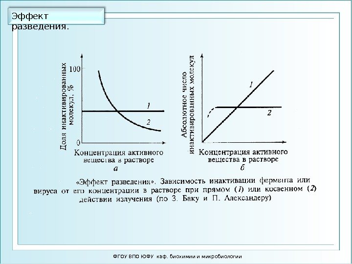 Эффект разведения.  ФГОУ ВПО ЮФУ каф. биохимии и микробиологии 