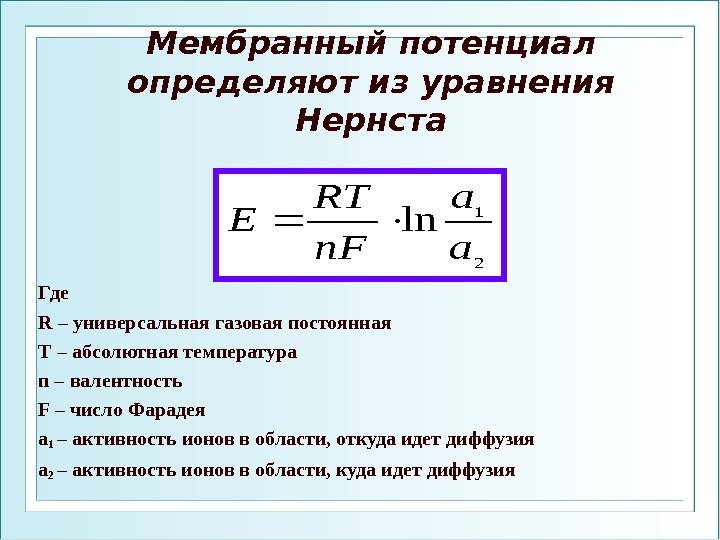 Мембранный потенциал определяют из уравнения Нернста Где R – универсальная газовая постоянная Т –