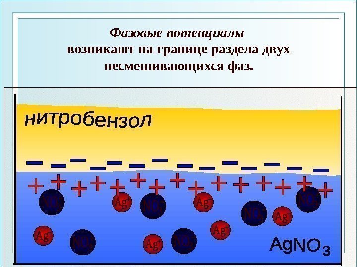 Фазовые потенциалы возникают на границе раздела двух несмешивающихся фаз.  